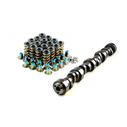 LS Cam 223/228 .580/.588 114 & VTKLS8 Dual Spring Kit