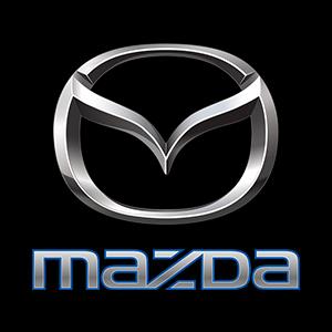 Arias Mazda Pistons