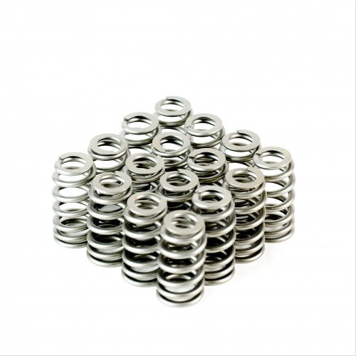 Ecotec Conical Valve Springs