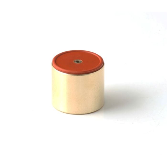 GFB - Dv+ Piston