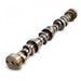 Ford Cleveland V8 Hydraulic Roller