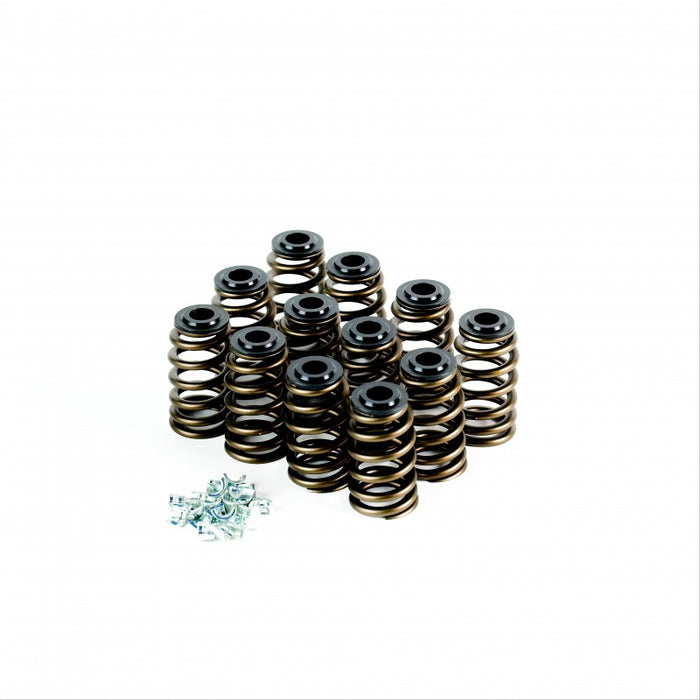 Holden V6 Ecotec Performance Spring Kit