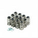 Holden V6 Ecotec Race Spring Kit