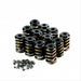 Ford Crossflow Valve Spring Kit