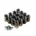 Ford Cleveland Multi Groove Valve Spring Kit