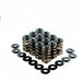 Ford Falcon AUII 6cyl Dual Spring Kit