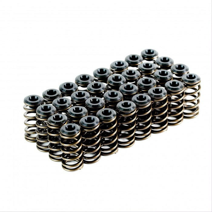 Ford BA XR8 Valve Spring Kit