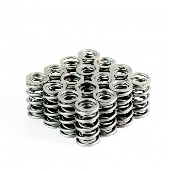PAC RPM Series - LS Dual Valve Springs