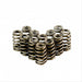 Holden V6 Ecotec Single Valve Springs - Set of 12