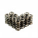 Dual Valve Springs - Set of 12