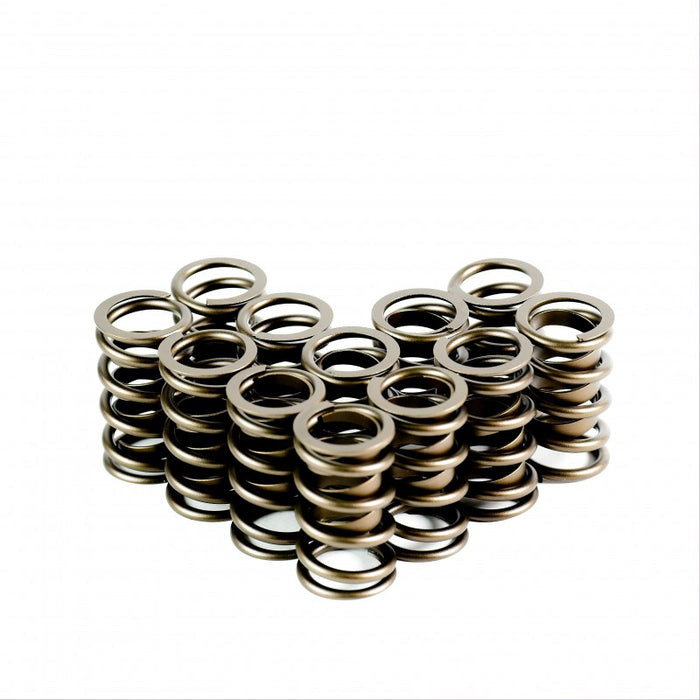 Single Valve Springs With Damper - Set of 12