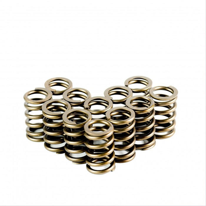 Single Valve Springs - Set of 12