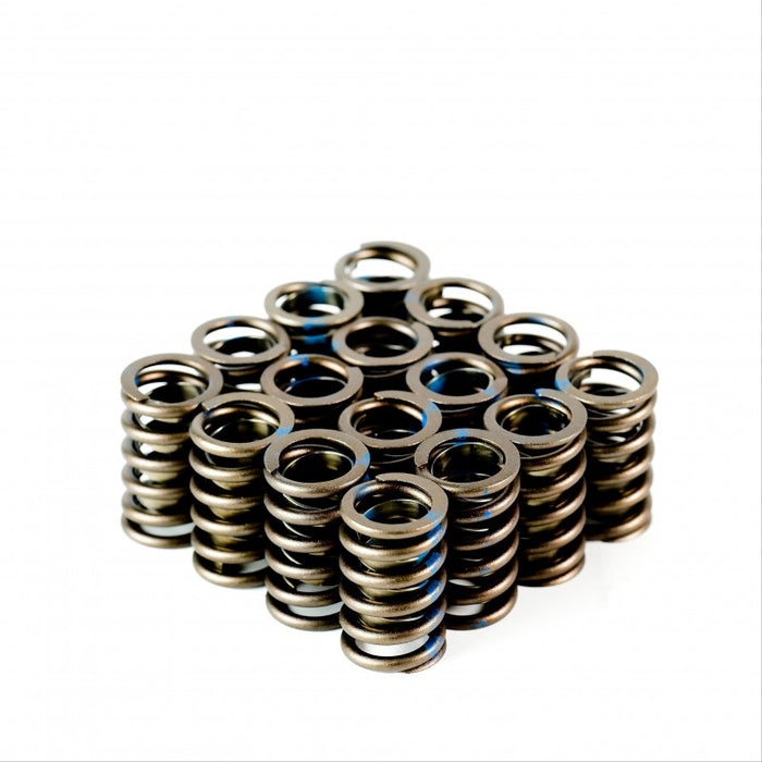 Standard Replacement GM Springs - Set of 16