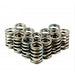 Heavy Duty Single Valve Springs - Set of 12