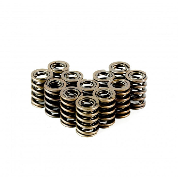 High Performance Dual Valve Springs - Set of 12