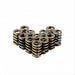 High Performance Dual Valve Springs - Set of 12