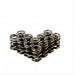 Dual Valve Springs - Nissan 6cyl