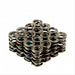 Dual Valve Springs