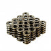 Dual Valve Springs for V8 roller applications