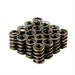 V8 Dual Valve Springs