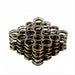 Dual Valve Springs - 8cyl