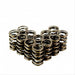 Dual Valve Springs - 6cyl