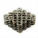 PAC Endurance Dual Spring - Set of 16