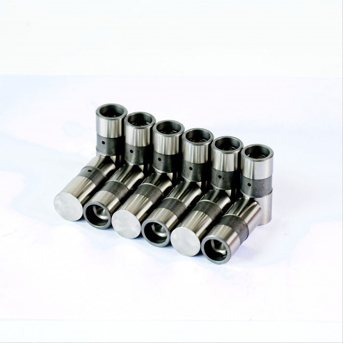GM Heavy Duty Solid Lifters - Set of 12