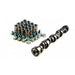 LS Cam 229/235 .584/.585 112 and VTKLS8 Dual Spring Kit