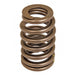 GM L98 Standard Replacement Valve Spring