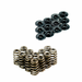 Holden V6 VP/VR Beehive Spring & Retainer Kit