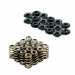Holden V8 Beehive Spring & Retainer Kit