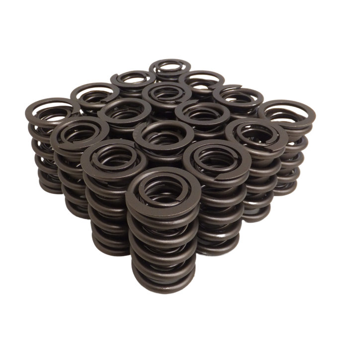 Dual w/ Dampener Valve Springs - Set of 16