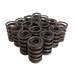 Dual w/ Dampener Valve Springs - Set of 16