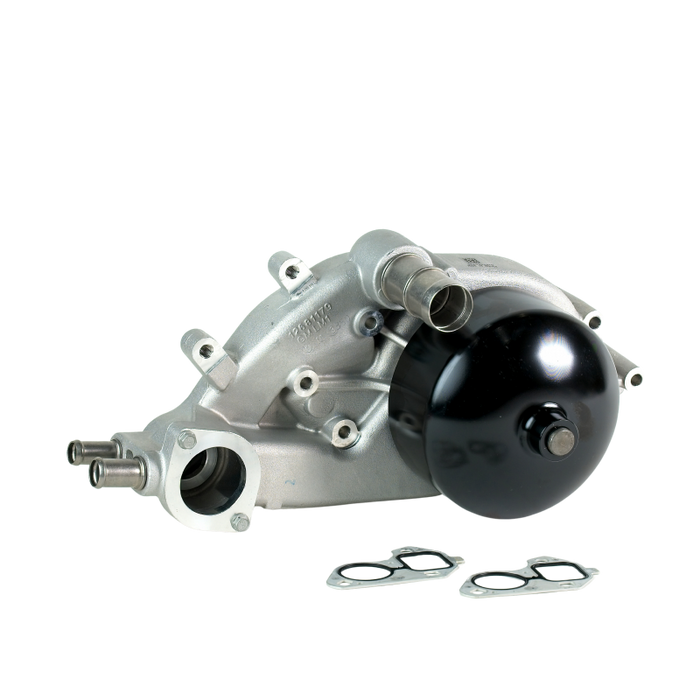 LS1 Water Pump