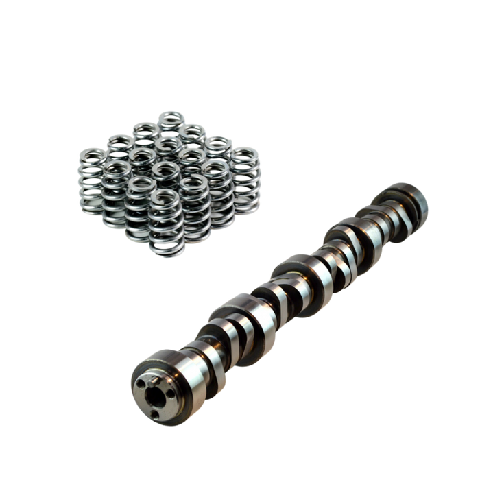 LS Cam 220/225 .556/.561 114 and 4231-16 Valve Springs