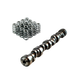 LS Cam 216/223 .559/.559 114 and 4231-16 Valve Springs
