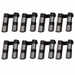 Chev to 86 Hydraulic Roller Lifters 2112SBR-16