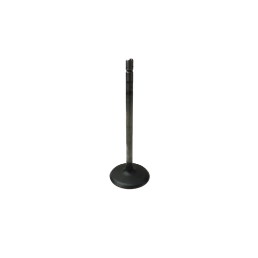 GM V6 Alloytec Intake Valve (LFX)