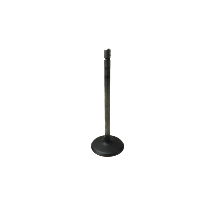 GM V6 Alloytec Intake Valve (LFX)