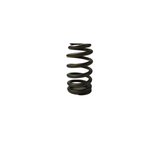 GM V6 Alloytec Valve Spring