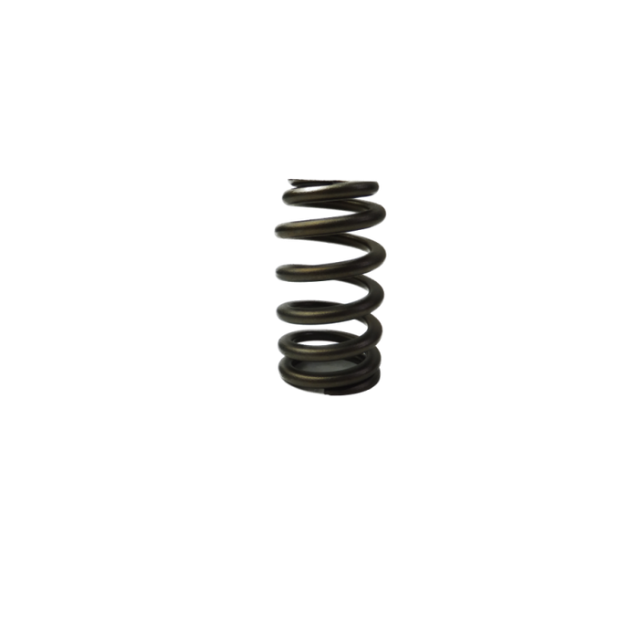 GM V6 Alloytec Valve Spring