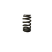 GM V6 Alloytec Valve Spring