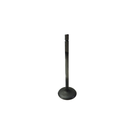 GM V6 Alloytec Intake Valve (LF1,LFW)
