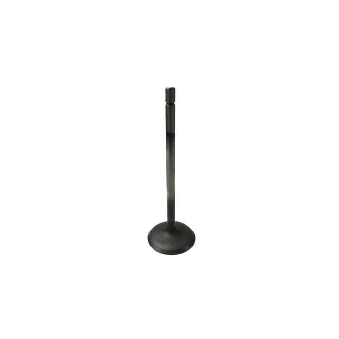 GM V6 Alloytec Intake Valve (LF1,LFW)
