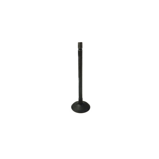 GM V6 Alloytec Exhaust Valve (LF1,LFW,LFX)