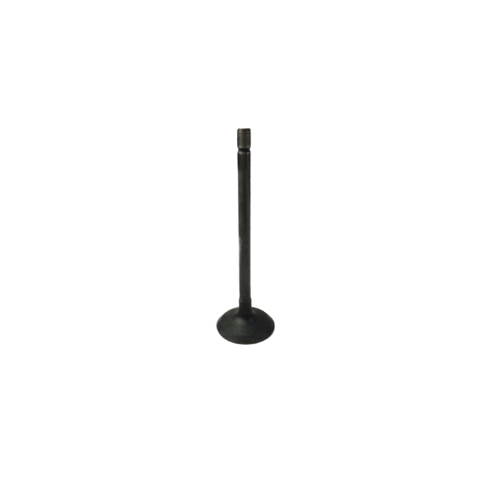GM V6 Alloytec Exhaust Valve (LF1,LFW,LFX)