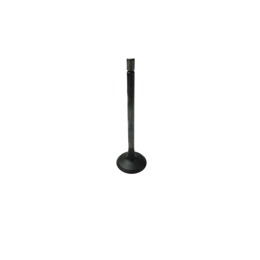 GM V6 Alloytec Exhaust Valve (LLT,LY7)