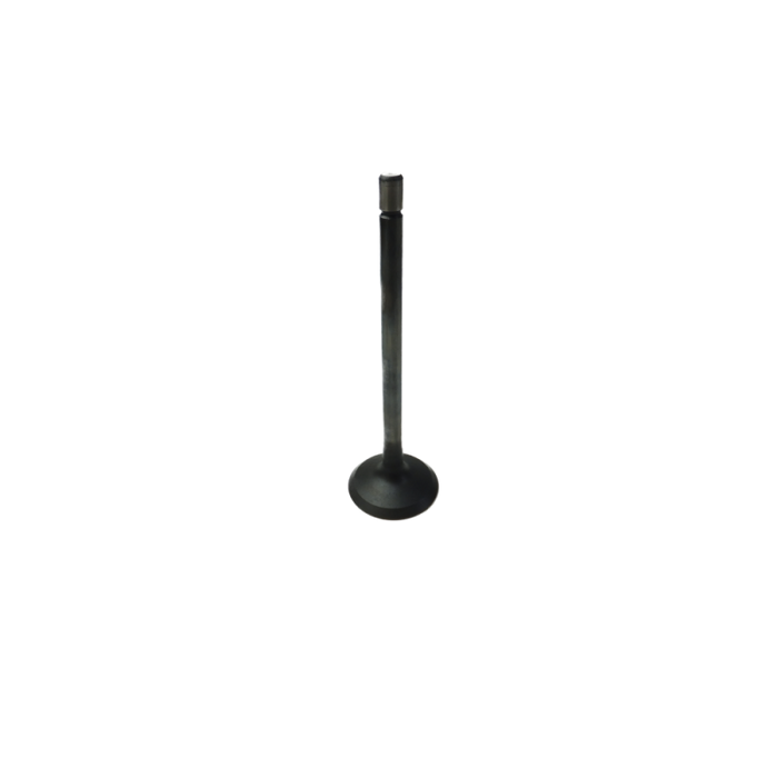 GM V6 Alloytec Exhaust Valve (LLT,LY7)