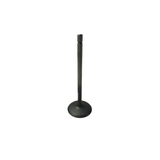 GM V6 Alloytec Intake Valve (LLT,LY7)